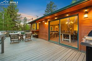 313 Blue Mesa Drive