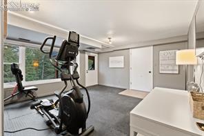 313 Blue Mesa Drive