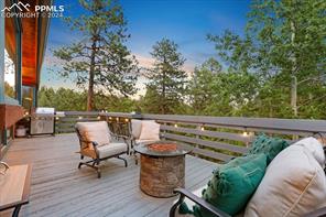 313 Blue Mesa Drive