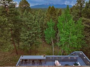 313 Blue Mesa Drive