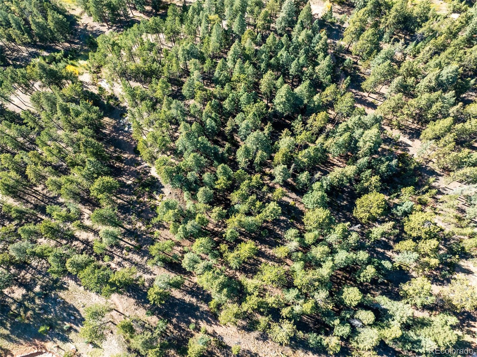 270 Thunder Ridge Drive