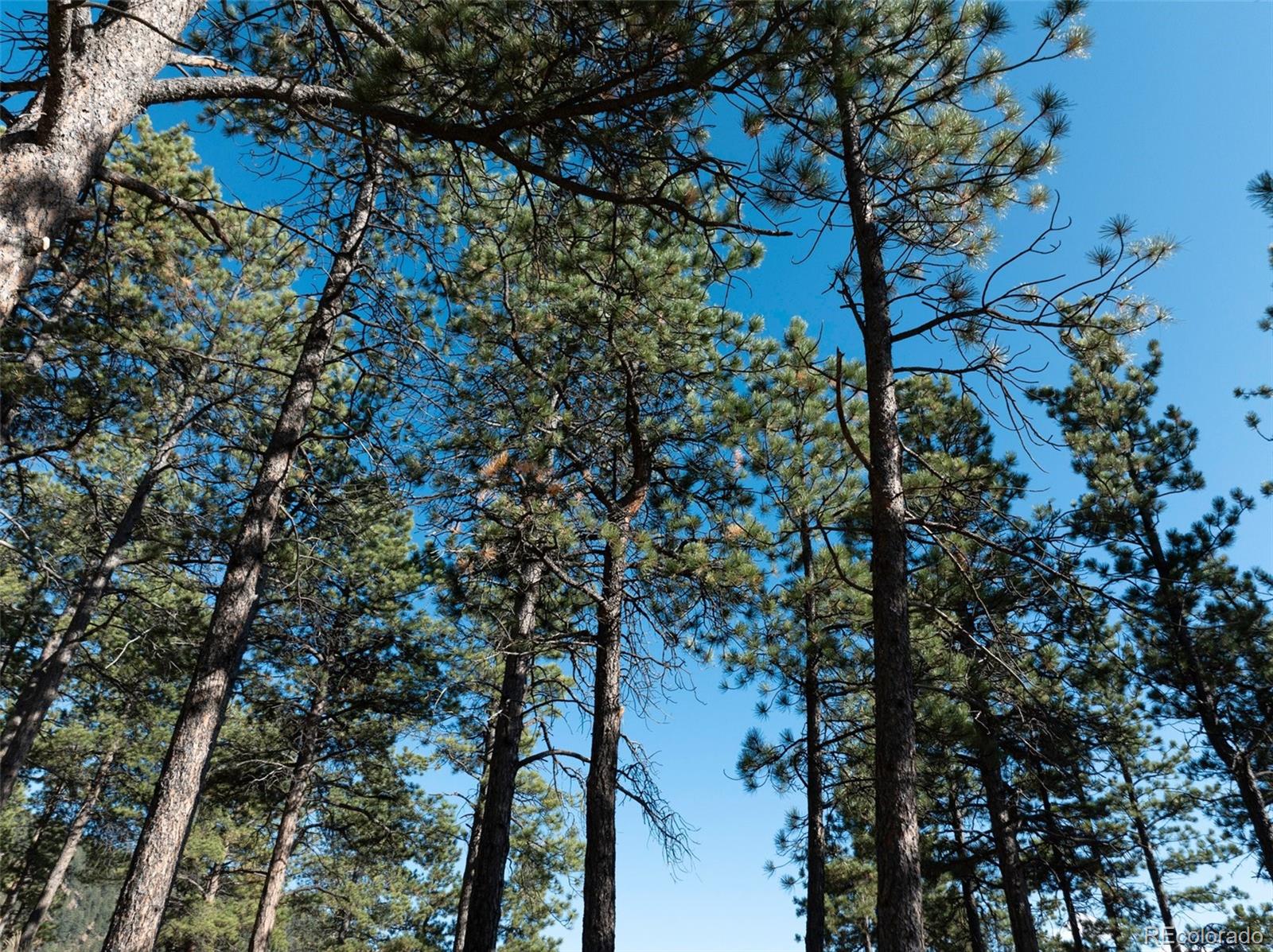 270 Thunder Ridge Drive