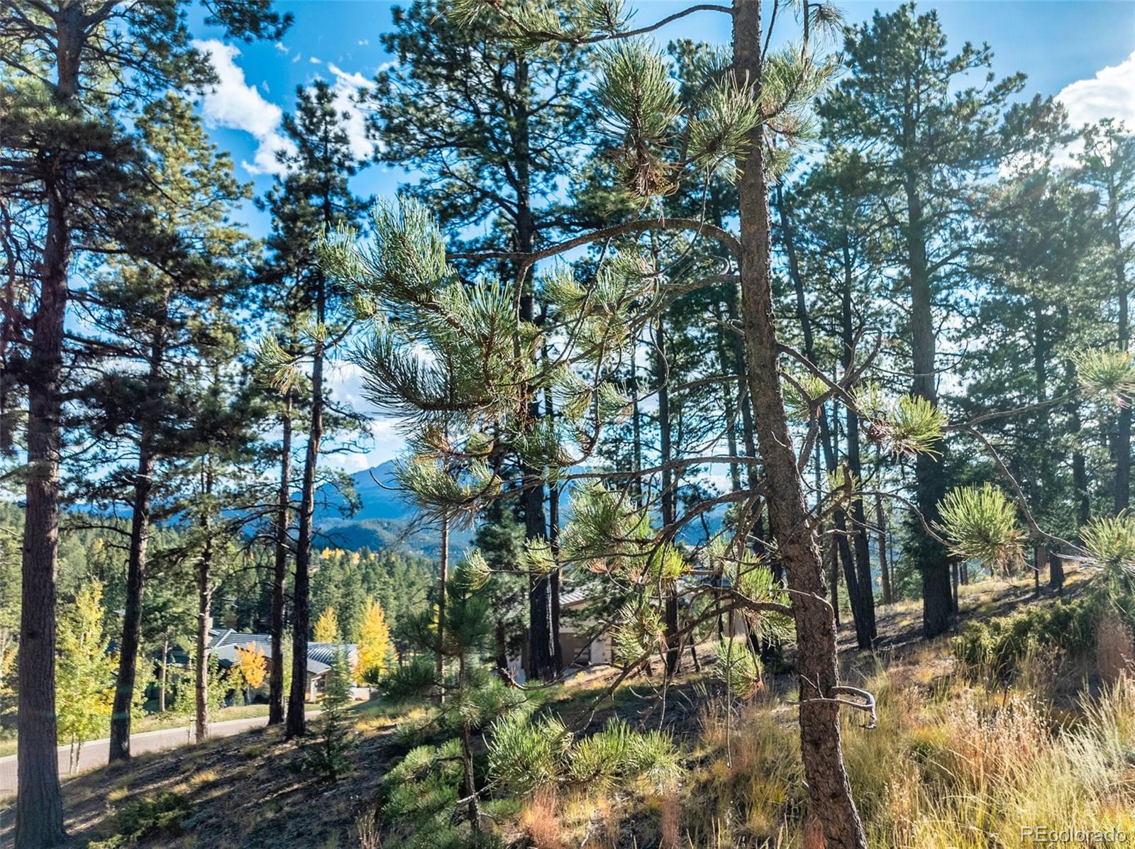 270 Thunder Ridge Drive