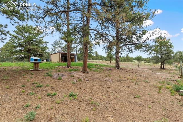 1703 Arapahoe Drive