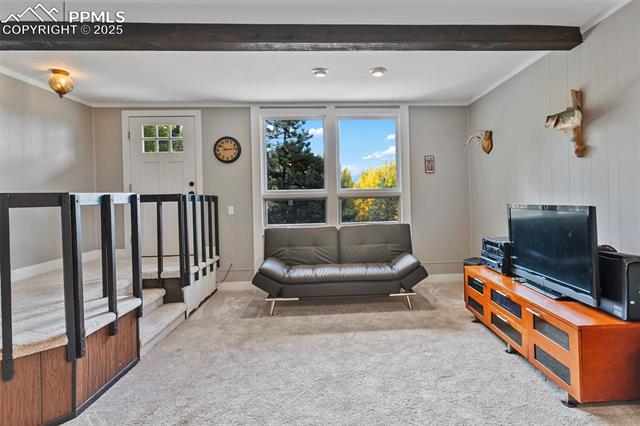 1051 Forest Hill Road