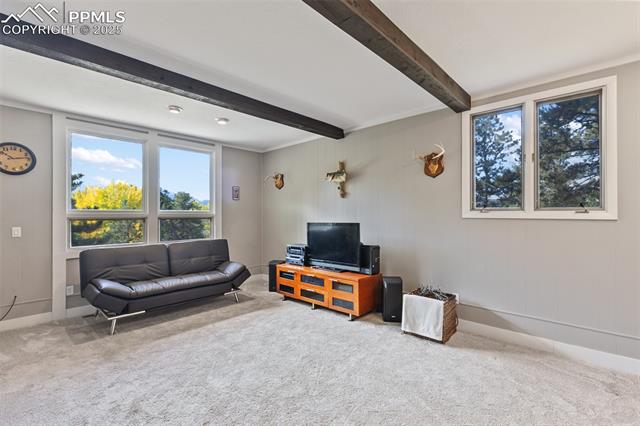 1051 Forest Hill Road