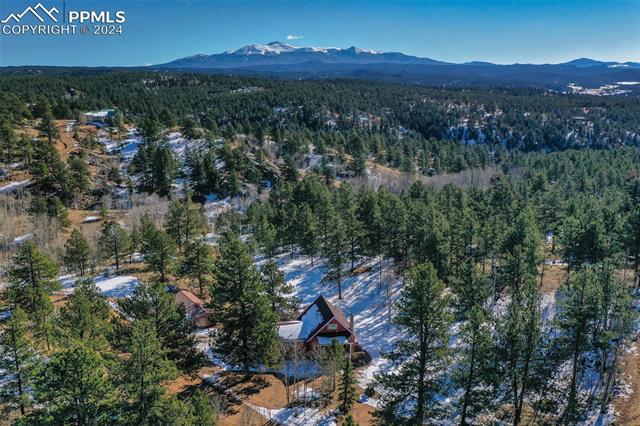 166 Ute Trail