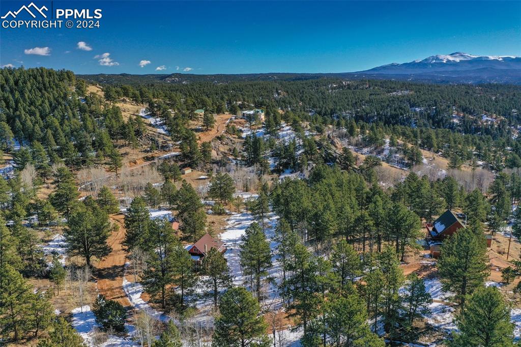 166 Ute Trail