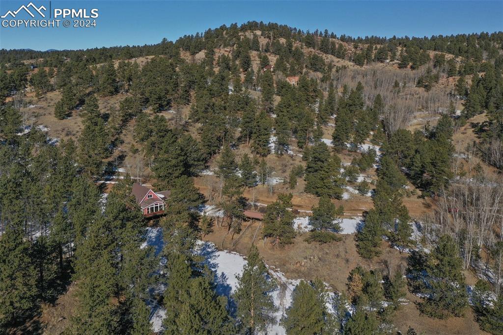 166 Ute Trail