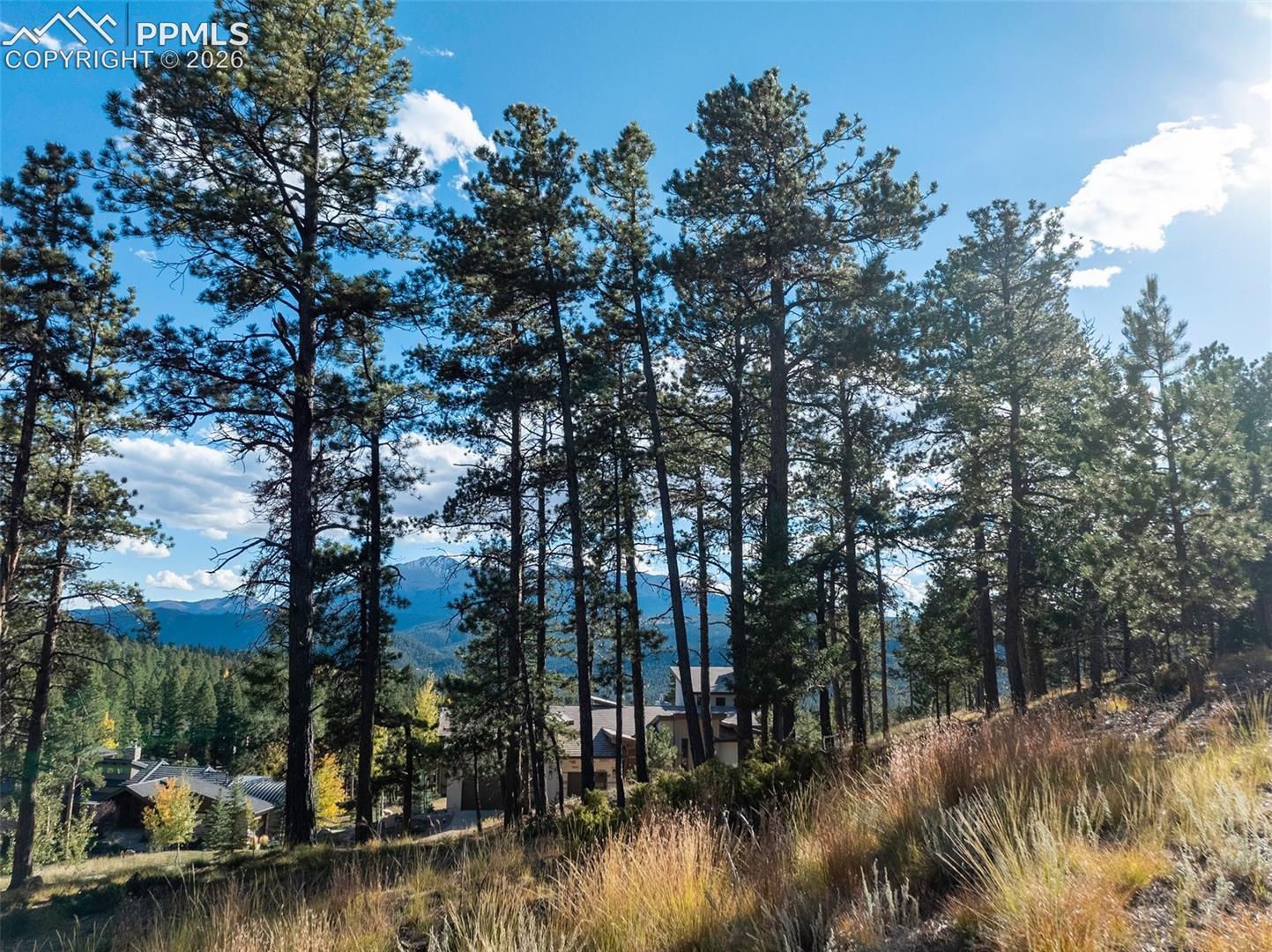 Mountain-view property among tall pines, with homes below and golden grasses in the foreground.