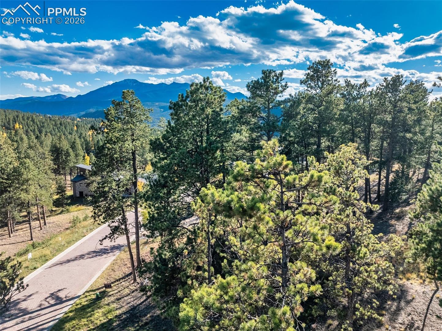 Wooded property with a paved drive, small house, and distant mountain views.