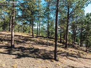 270 Thunder Ridge Drive