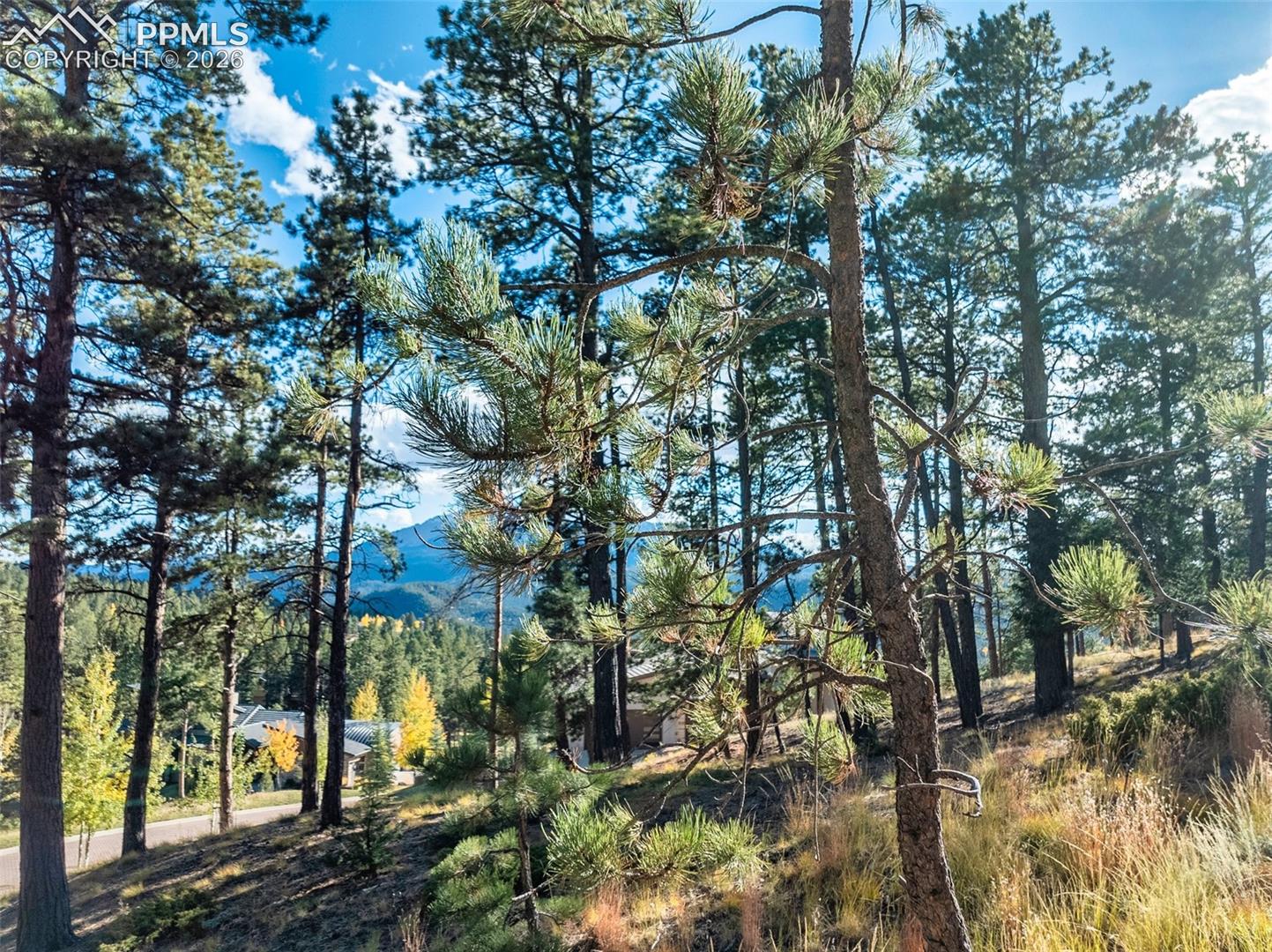 Wooded hillside property with pine trees, partial homes, and distant mountain views.
