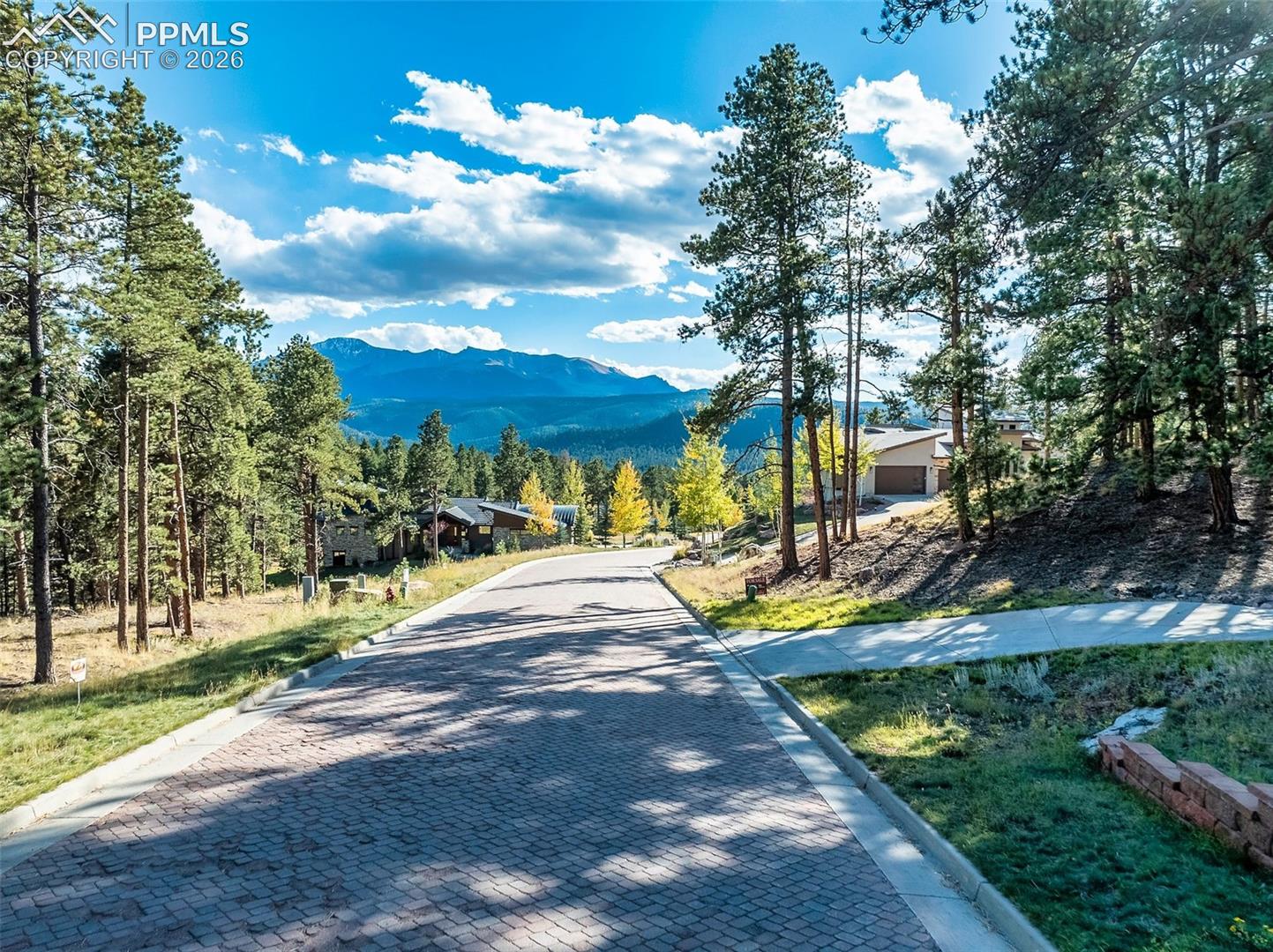 Mountain neighborhood street bordered by pine trees, with distant mountain views and homes.
