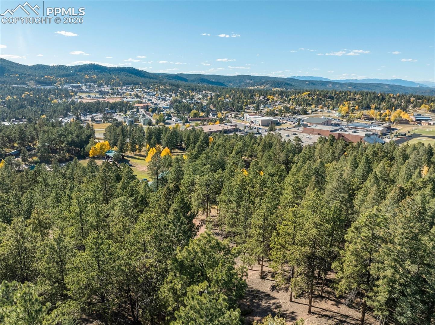 Aerial view over pine forest toward a town and mountain ridges, with scattered yellow autumn foliage.