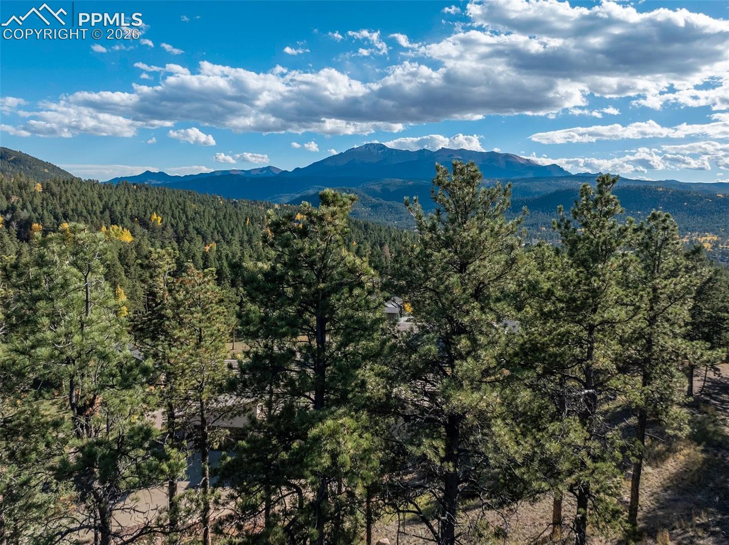 Mountain view beyond a pine-covered hillside, with scattered rooftops and patches of autumn color.