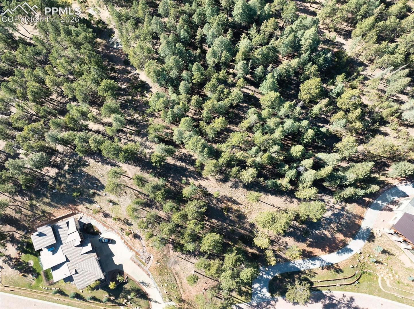 Aerial view of a wooded property with a house, driveway, and mature trees.