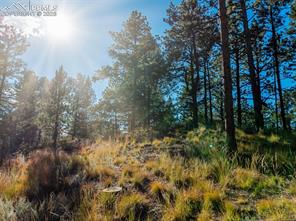 270 Thunder Ridge Drive