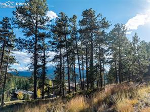 270 Thunder Ridge Drive