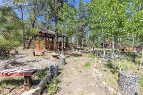 34 Piute Circle
