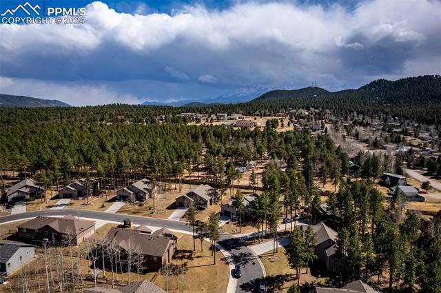 1170 Ptarmigan Drive