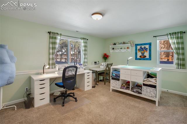 1170 Ptarmigan Drive