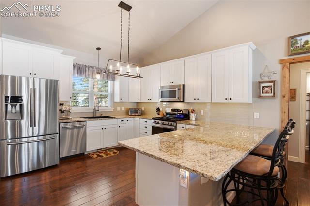 1170 Ptarmigan Drive