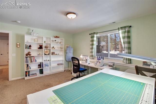 1170 Ptarmigan Drive