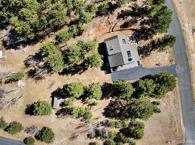 Aerial view of a house surrounded by mature trees, with a driveway and curved walkway.