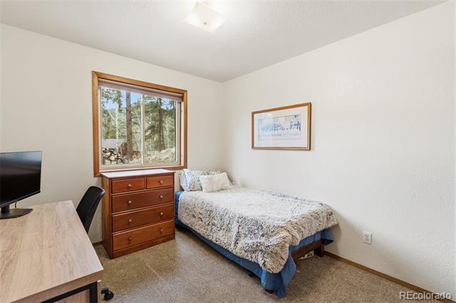 Bedroom with a single bed, wood dresser, and large window overlooking trees.
