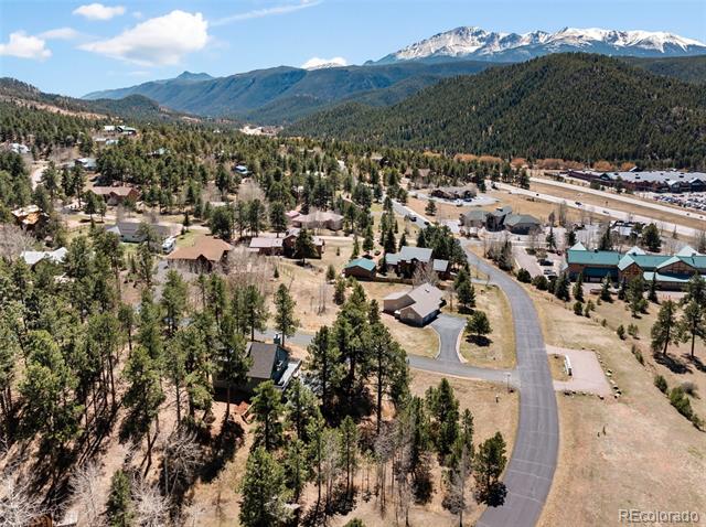 Aerial view of a wooded neighborhood with a curving road and snow-capped mountains.