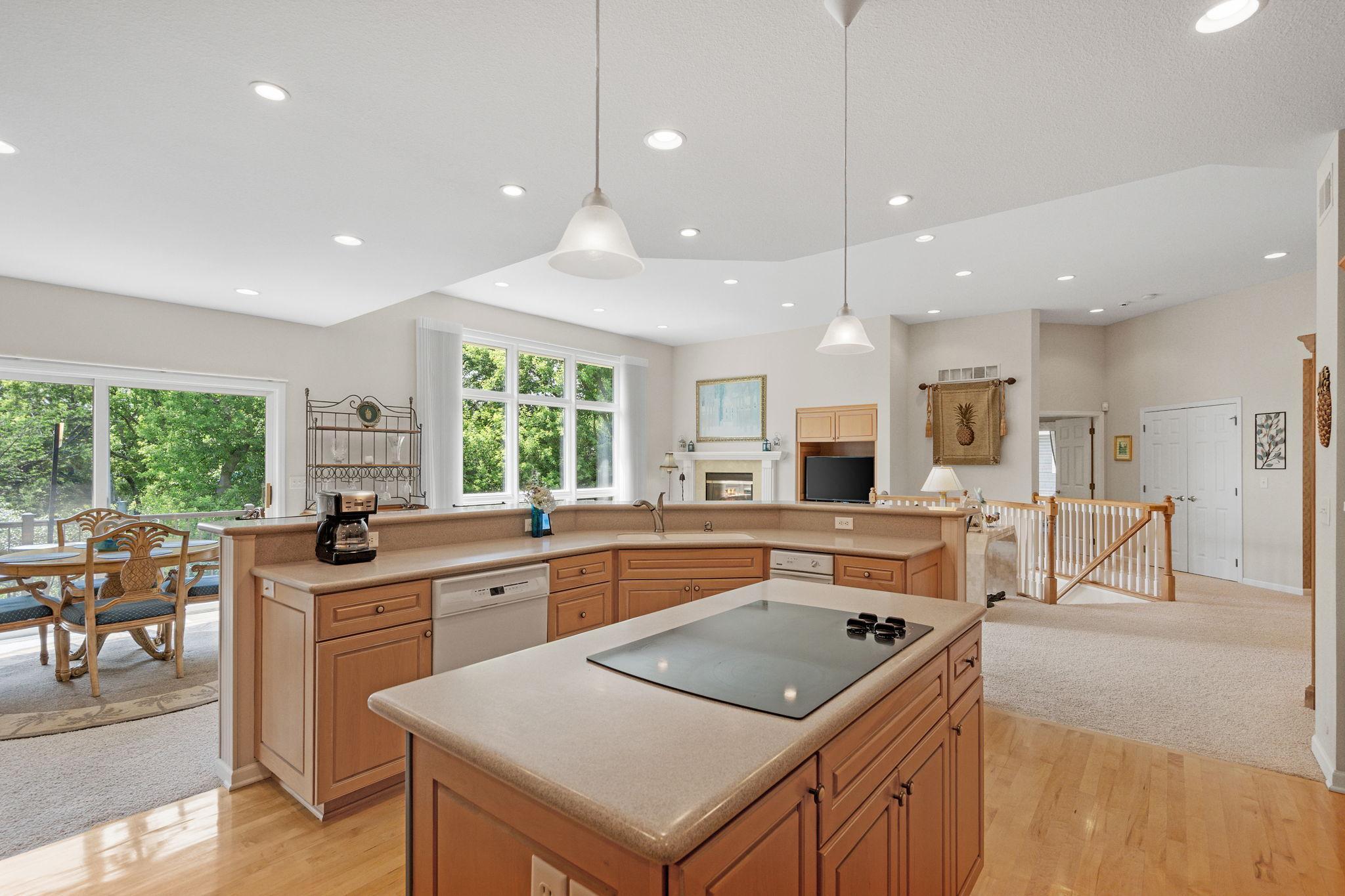 15183 Wayzata Boulevard