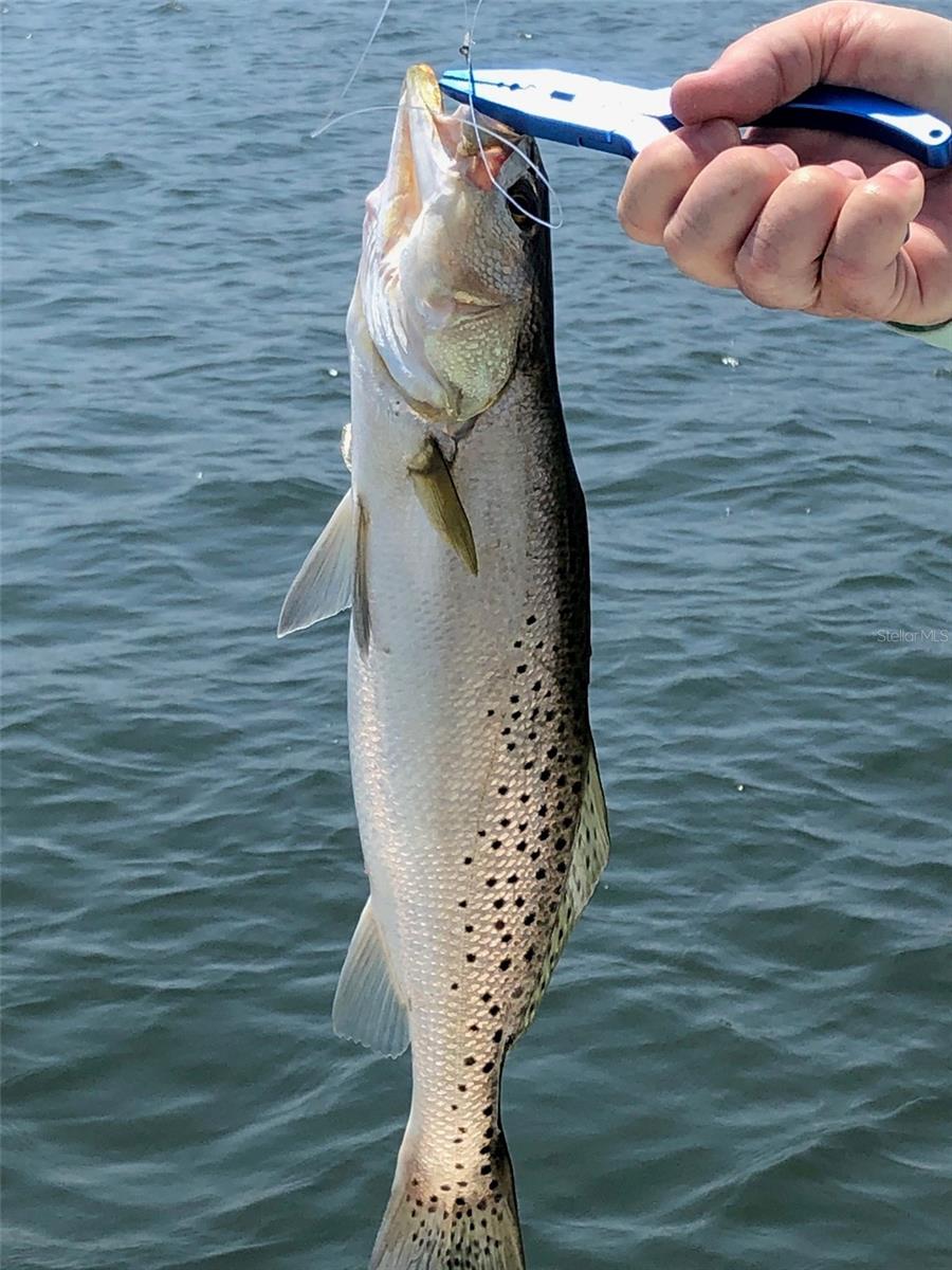 8767 MIDNIGHT PASS RD #106