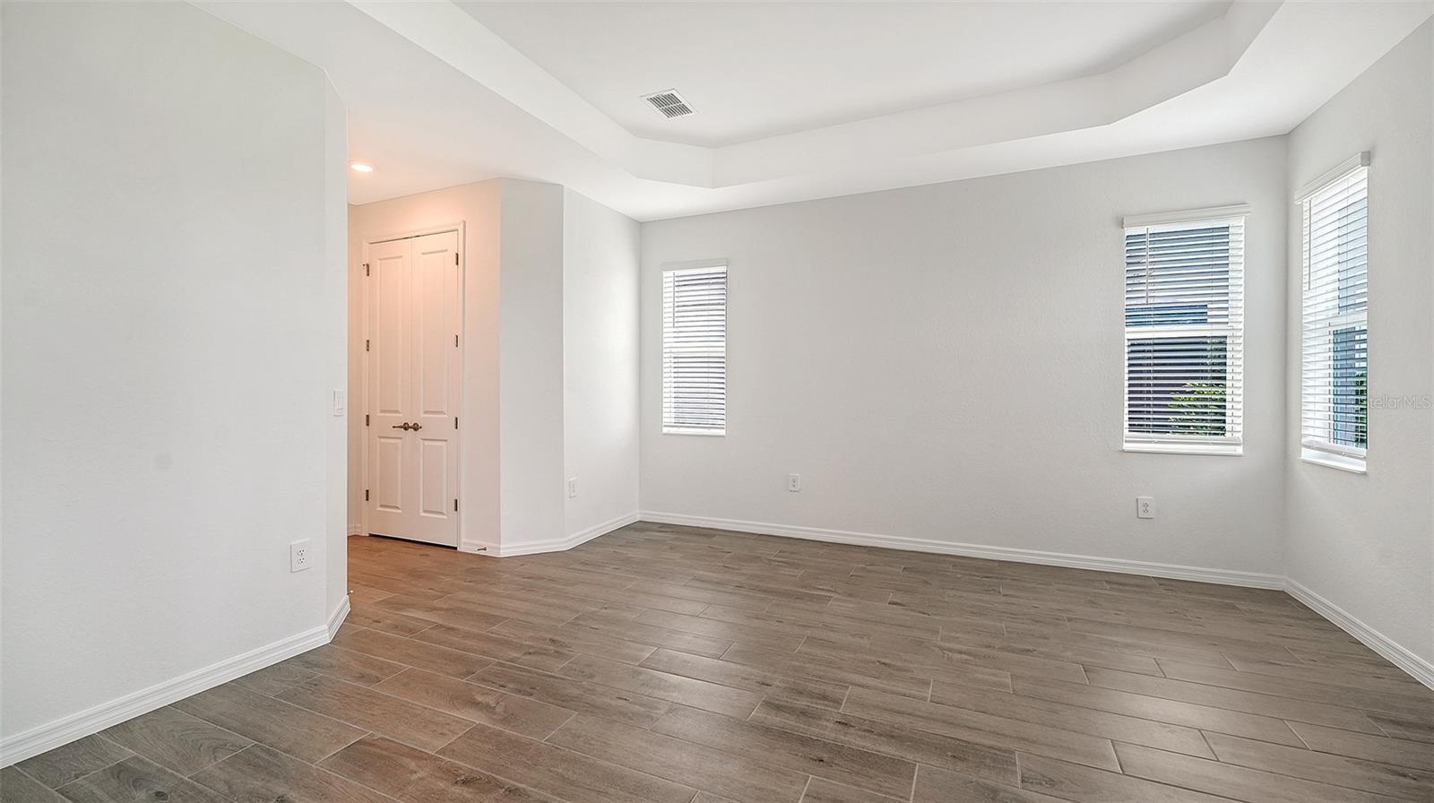 Empty room with wood-look tile flooring, a tray ceiling, three windows, and a double-door closet.