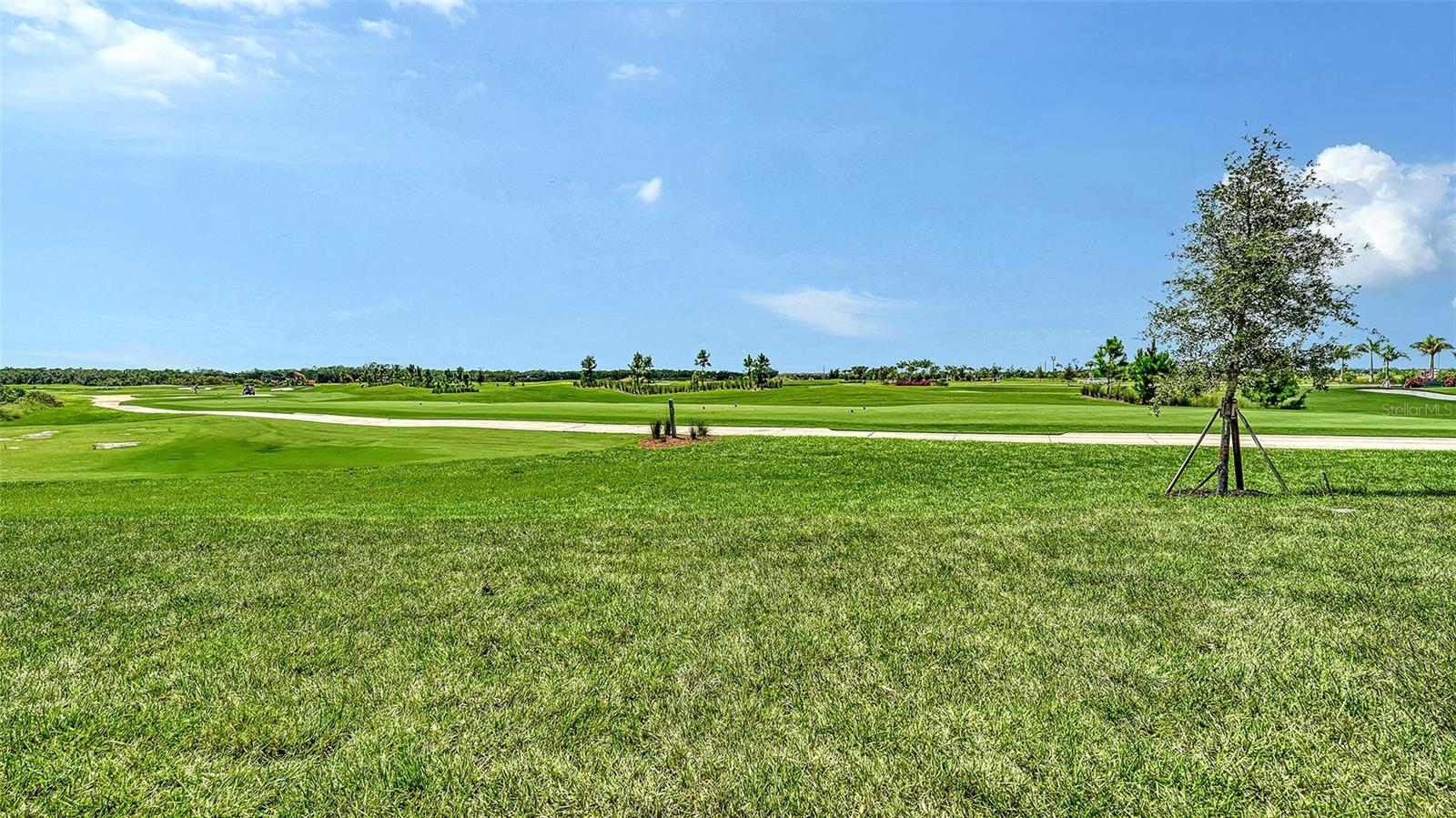 Golf course view with rolling green fairways, a curving cart path, and a staked young tree.