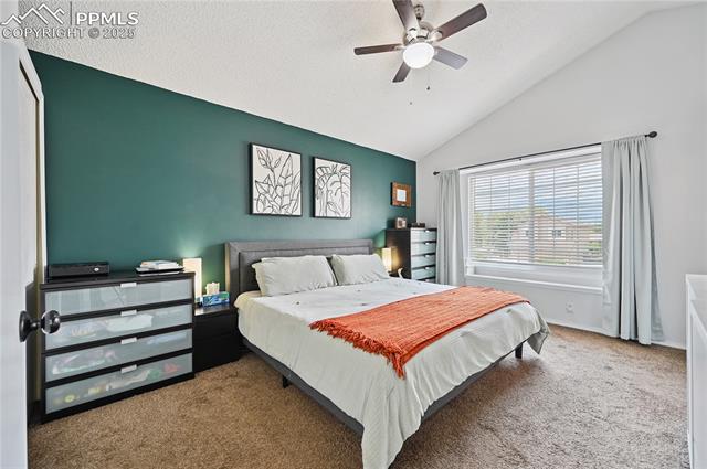 4565 Borden Drive