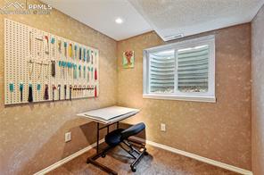 4565 Borden Drive