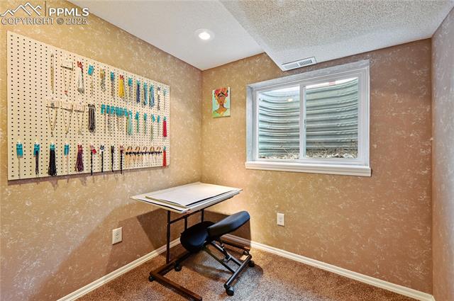 4565 Borden Drive