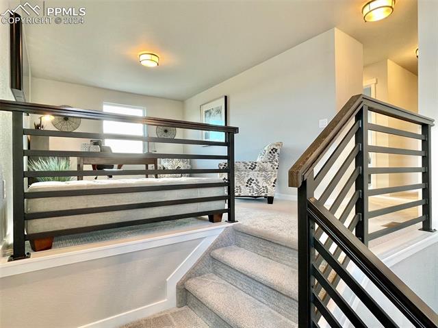 17617 Lemon Rye Loop