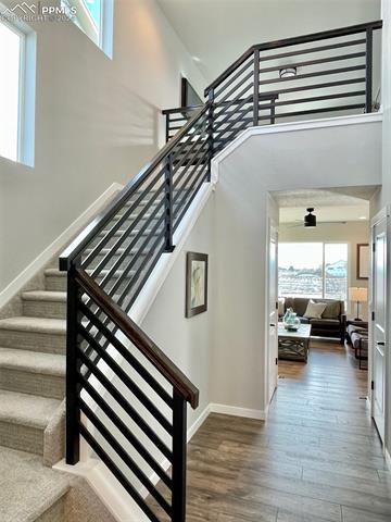 17617 Lemon Rye Loop