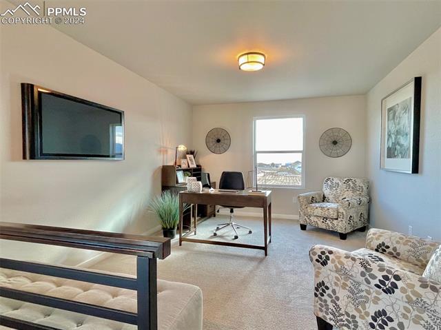 17617 Lemon Rye Loop