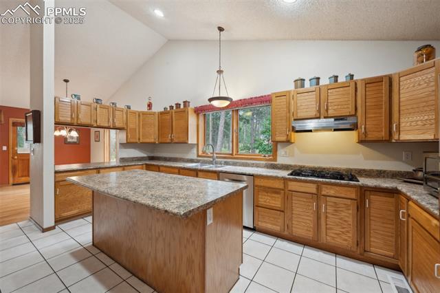 19945 E Top O The Moor Drive