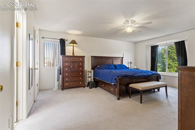 4225 Solarface Court