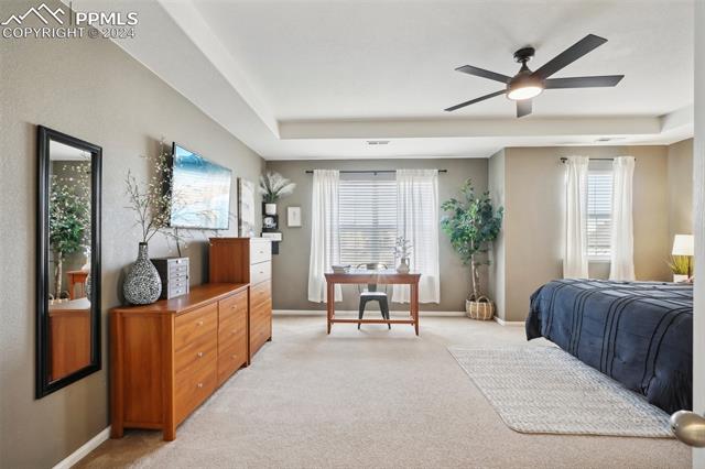 10873 Torreys Peak Way