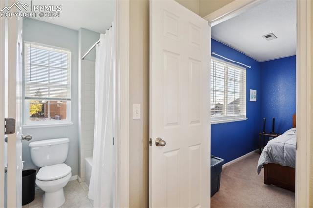 10873 Torreys Peak Way