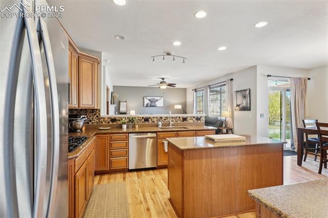 10873 Torreys Peak Way