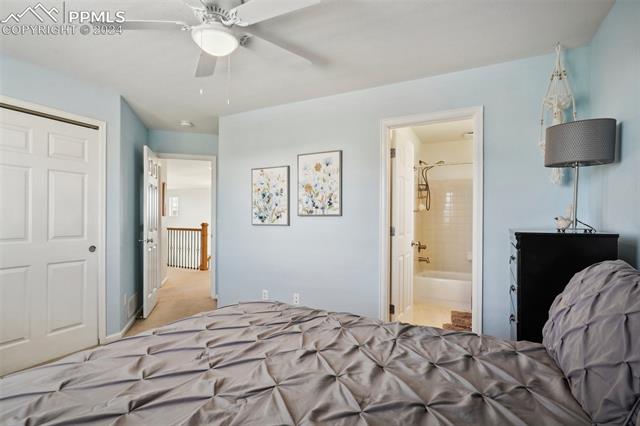 10873 Torreys Peak Way