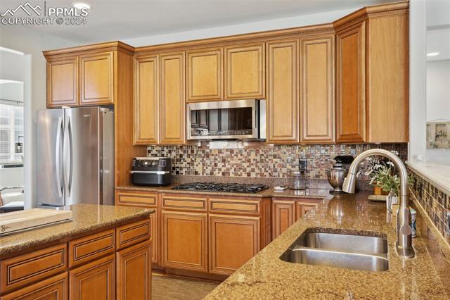 10873 Torreys Peak Way