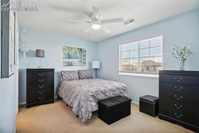 10873 Torreys Peak Way