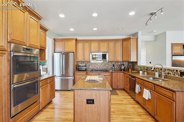 10873 Torreys Peak Way